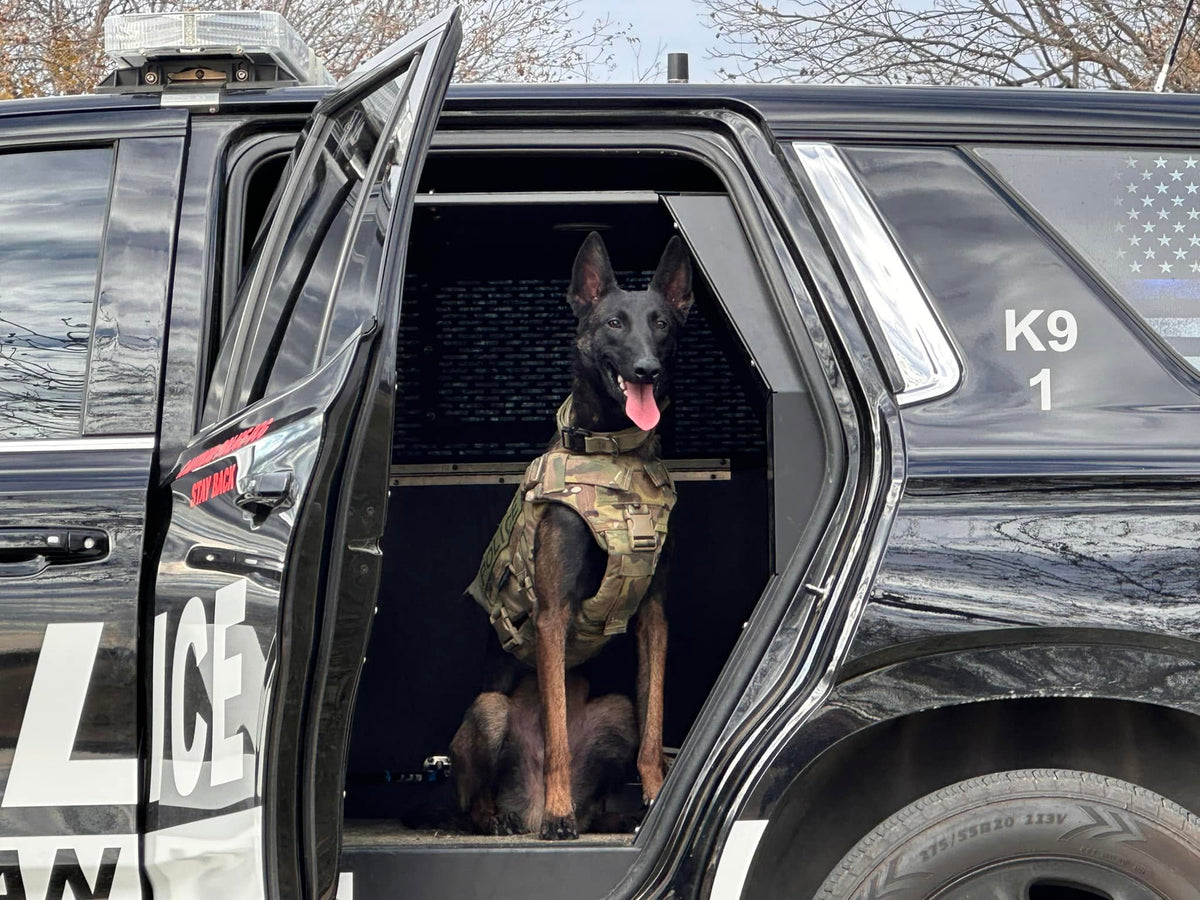 Protecting the Protectors