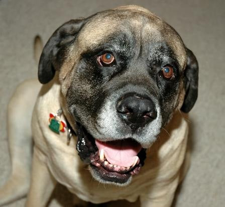 Duke