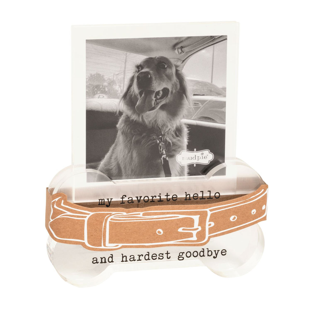 My favorite hello and hardest goodbye collar holder